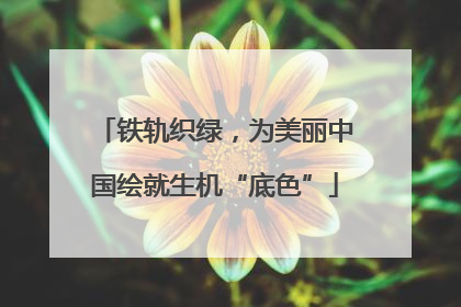 铁轨织绿，为美丽中国绘就生机“底色”