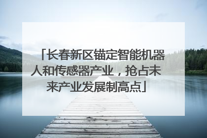 长春新区锚定智能机器人和传感器产业，抢占未来产业发展制高点