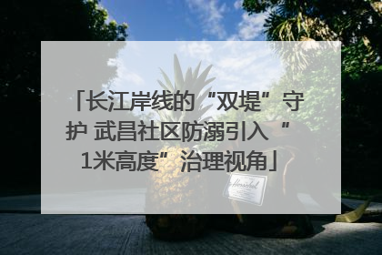 长江岸线的“双堤”守护 武昌社区防溺引入“1米高度”治理视角