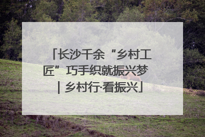 长沙千余“乡村工匠”巧手织就振兴梦｜乡村行·看振兴