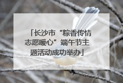 长沙市“粽香传情志愿暖心”端午节主题活动成功举办