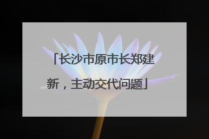 长沙市原市长郑建新，主动交代问题