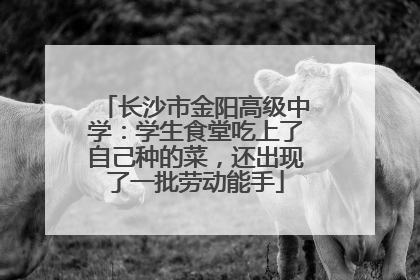 长沙市金阳高级中学：学生食堂吃上了自己种的菜，还出现了一批劳动能手