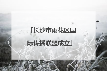 长沙市雨花区国际传播联盟成立