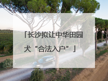 长沙拟让中华田园犬“合法入户”