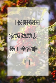 长阳获国家级激励表扬！全省唯一！