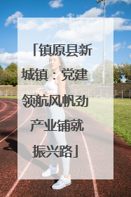 镇原县新城镇：党建领航风帆劲 产业铺就振兴路