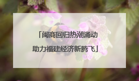 闽商回归热潮涌动 助力福建经济新腾飞