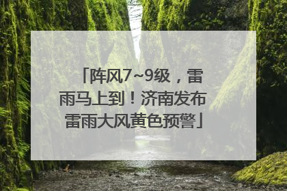 阵风7~9级，雷雨马上到！济南发布雷雨大风黄色预警