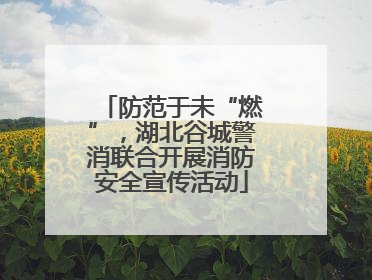 防范于未“燃”，湖北谷城警消联合开展消防安全宣传活动