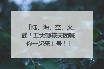 陆、海、空、火、武！五大硬核天团喊你一起来上号！