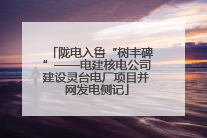 陇电入鲁“树丰碑”——电建核电公司建设灵台电厂项目并网发电侧记