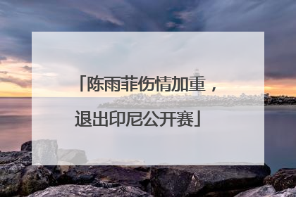 陈雨菲伤情加重，退出印尼公开赛