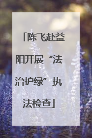 陈飞赴益阳开展“法治护绿”执法检查