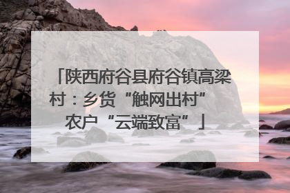陕西府谷县府谷镇高梁村：乡货“触网出村” 农户“云端致富”