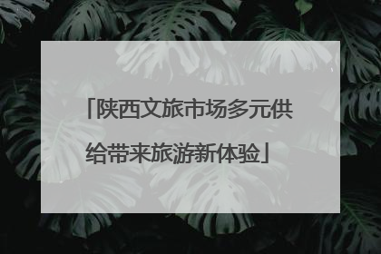 陕西文旅市场多元供给带来旅游新体验