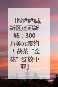 陕西西咸新区泾河新城：300万美元签约！茯茶“金花”绽放中亚