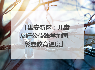 雄安新区：儿童友好公益践学地图彰显教育温度