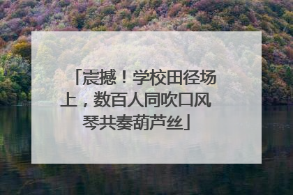 震撼！学校田径场上，数百人同吹口风琴共奏葫芦丝