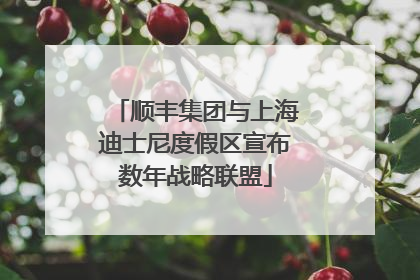 顺丰集团与上海迪士尼度假区宣布数年战略联盟