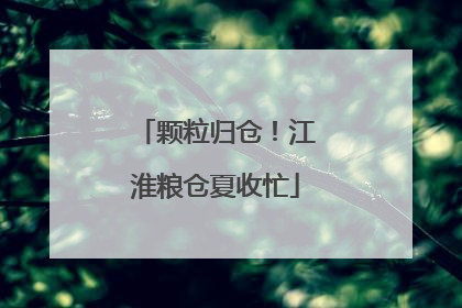 颗粒归仓！江淮粮仓夏收忙