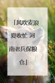 风吹麦浪夏收忙 河南老兵保粮仓
