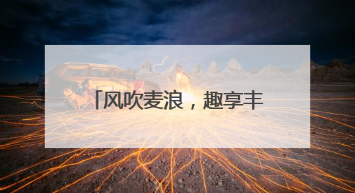 风吹麦浪，趣享丰收——五河县申集镇大李小学开展劳动教育实践活动