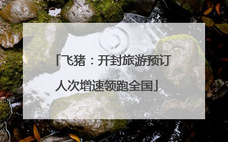 飞猪：开封旅游预订人次增速领跑全国