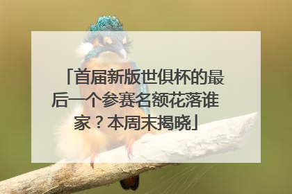 首届新版世俱杯的最后一个参赛名额花落谁家？本周末揭晓