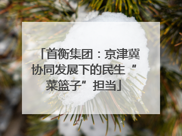 首衡集团：京津冀协同发展下的民生“菜篮子”担当