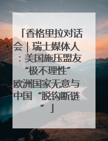 香格里拉对话会｜瑞士媒体人：美国施压盟友“极不理性” 欧洲国家无意与中国“脱钩断链”