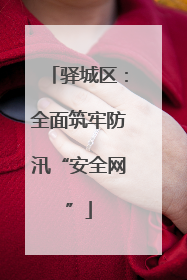 驿城区：全面筑牢防汛“安全网”