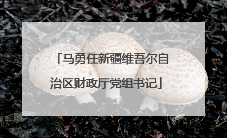 马勇任新疆维吾尔自治区财政厅党组书记