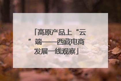 高原产品上“云”端——西藏电商发展一线观察