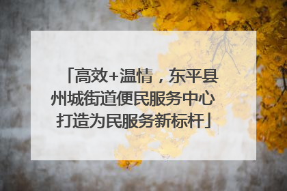 高效+温情，东平县州城街道便民服务中心打造为民服务新标杆