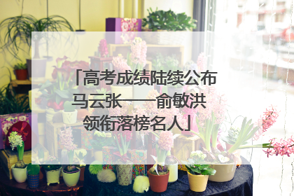 高考成绩陆续公布 马云张一一俞敏洪领衔落榜名人