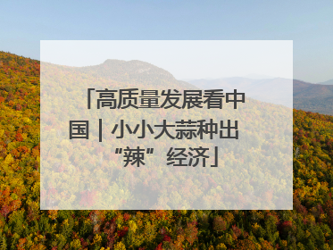 高质量发展看中国｜小小大蒜种出“辣”经济