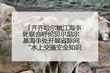 齐齐哈尔嫩江海事处联合呼伦贝尔尼尔基海事处开展省际间“水上交通安全知识进校园”活动
