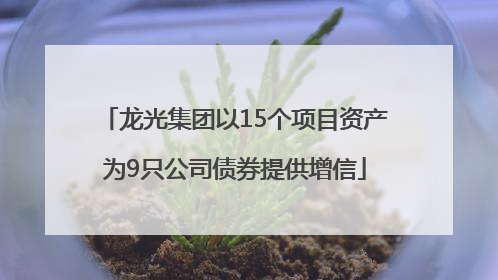 龙光集团以15个项目资产为9只公司债券提供增信