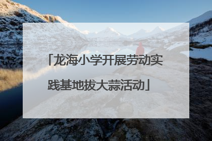 龙海小学开展劳动实践基地拔大蒜活动