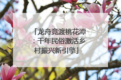龙舟竞渡桃花潭：千年民俗激活乡村振兴新引擎