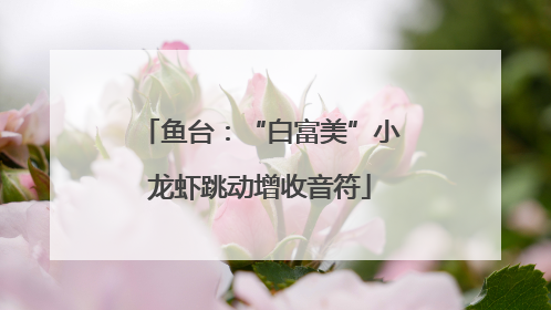 鱼台：“白富美”小龙虾跳动增收音符