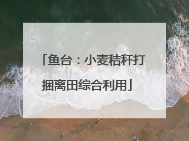 鱼台：小麦秸秆打捆离田综合利用