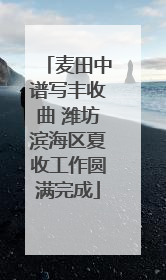 麦田中谱写丰收曲 潍坊滨海区夏收工作圆满完成