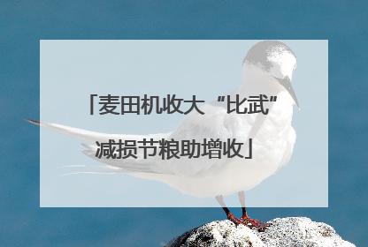 麦田机收大“比武” 减损节粮助增收