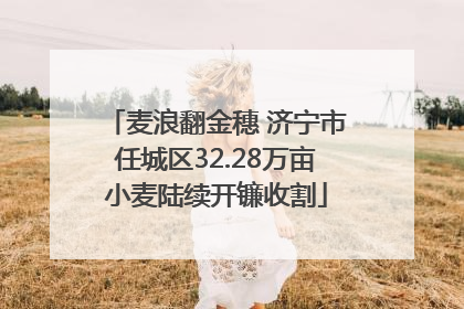 麦浪翻金穗 济宁市任城区32.28万亩小麦陆续开镰收割