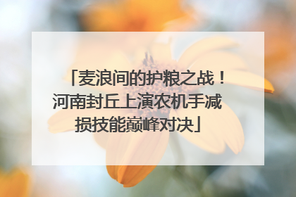 麦浪间的护粮之战！河南封丘上演农机手减损技能巅峰对决