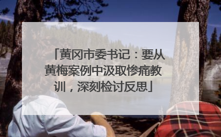 黄冈市委书记：要从黄梅案例中汲取惨痛教训，深刻检讨反思