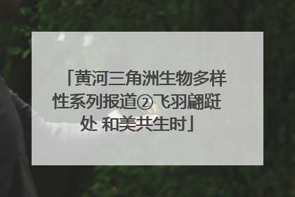黄河三角洲生物多样性系列报道②飞羽翩跹处 和美共生时