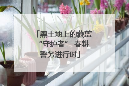 黑土地上的藏蓝“守护者” 春耕警务进行时